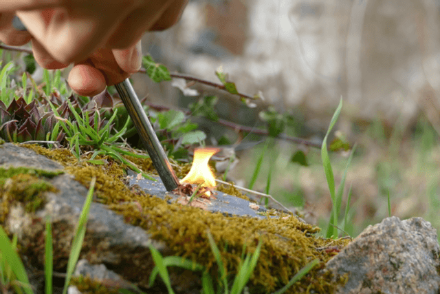 Pierre à feu Bush